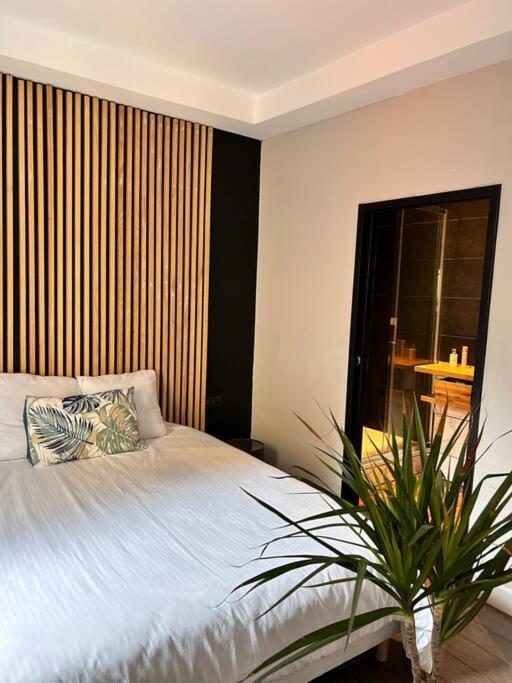 Appartement Cosy Centre Ajaccio Ajaccio  Esterno foto